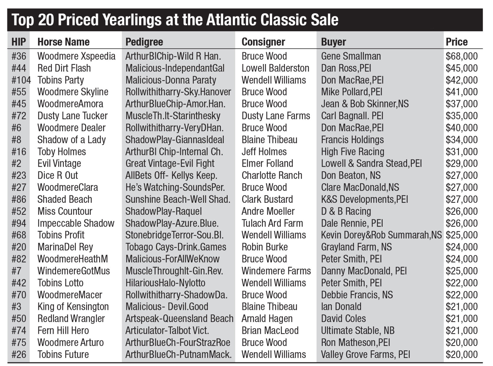 Top 20 Yearlings at Atlantic Classic Sale 2021